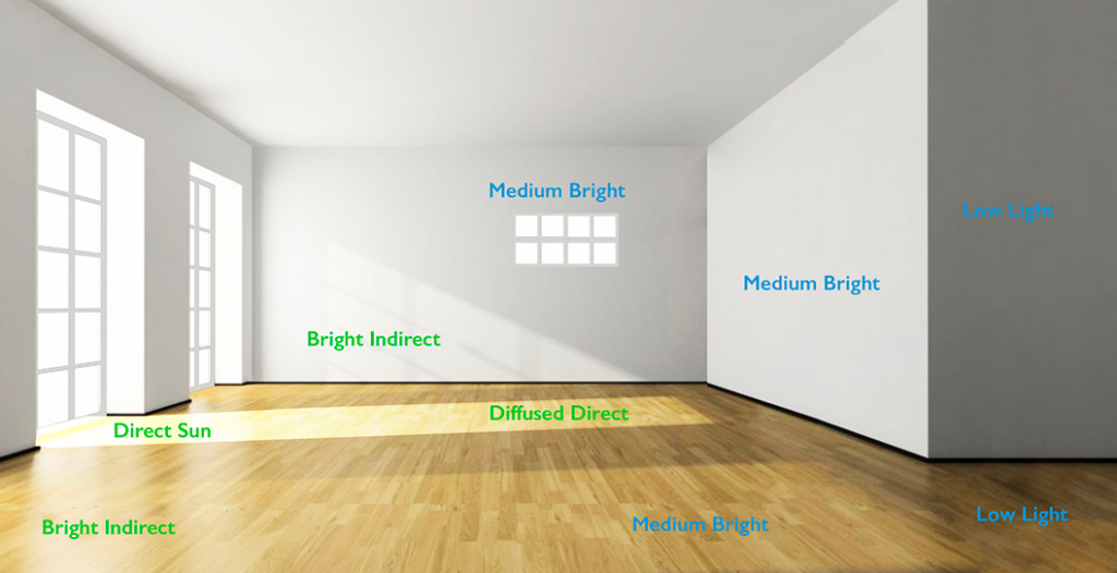 Indoor lighting guide
